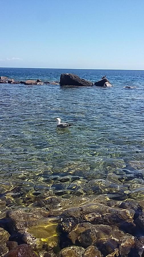 Capraia Per Te Kültér fotó
